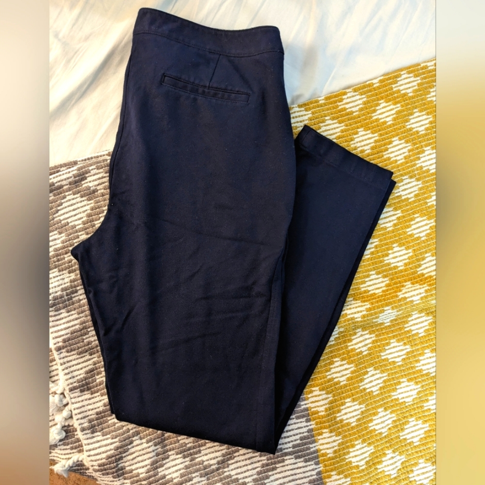 Talbots Navy Blue Skinny Pants - Great Pockets!
